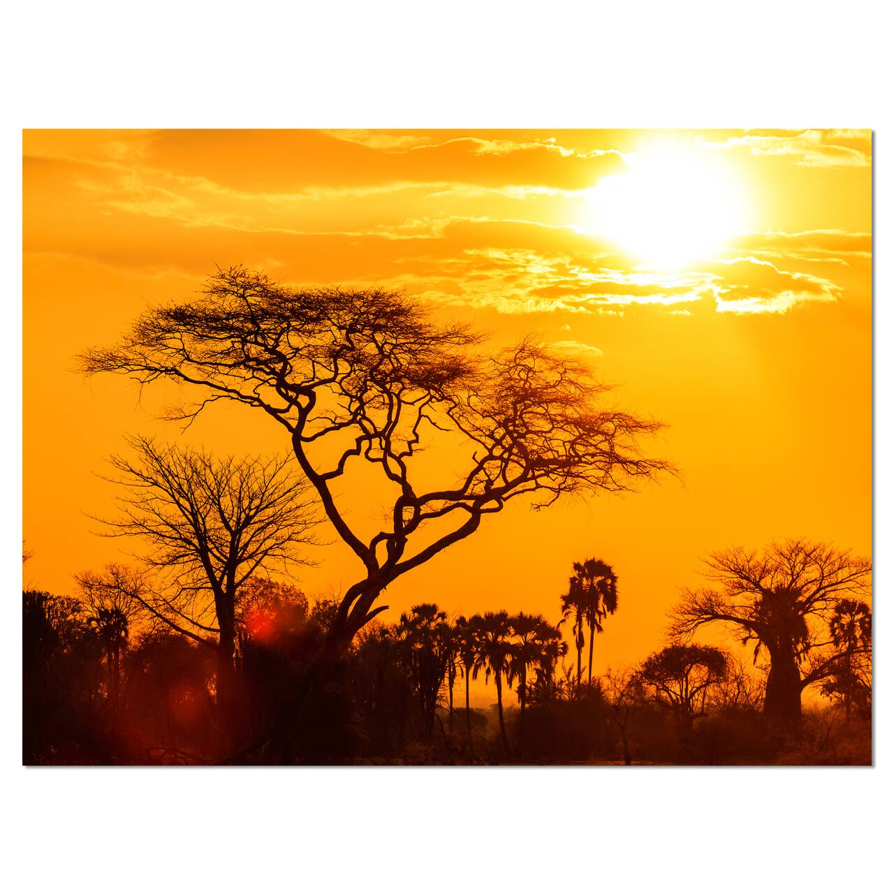 Designart - Orange Glow of African Sunset - Extra Large Wall Art Landscape